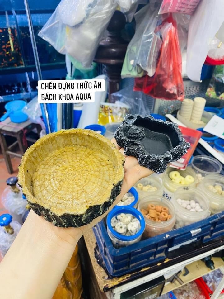 Chén giả gốc cây đựng thức ăn cho cá tép